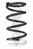 SPIDAN 56454 Coil Spring